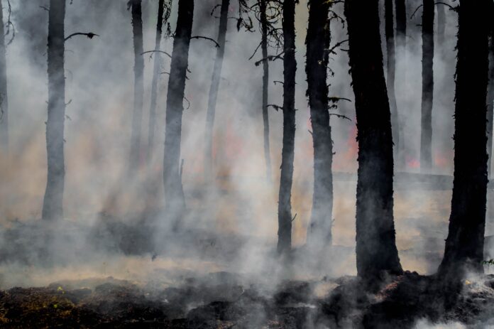 Waldbrand