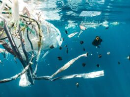 Meilenstein in der Bekämpfung der globalen Plastikkrise